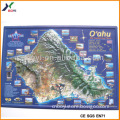 Plastic Embossed Picture Embossed Poster Printing Map